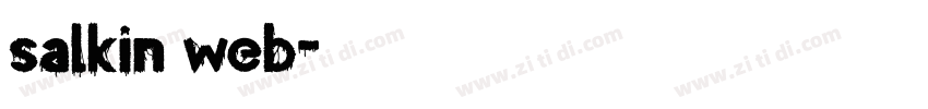 salkin web字体转换